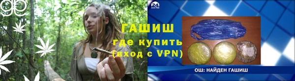 СК Елизово