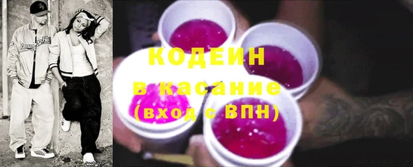 СК Елизово