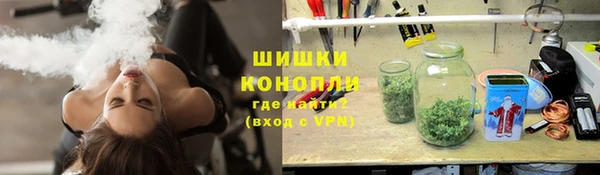 СК Елизово
