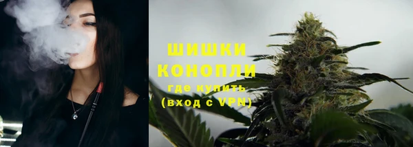 СК Елизово