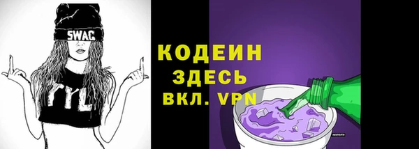 СК Елизово
