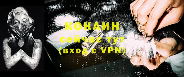 СК Елизово