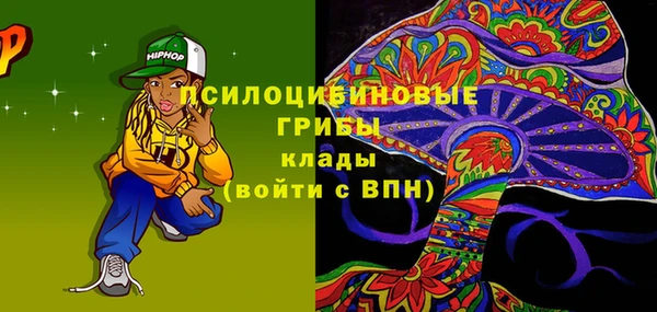 гашик Елабуга