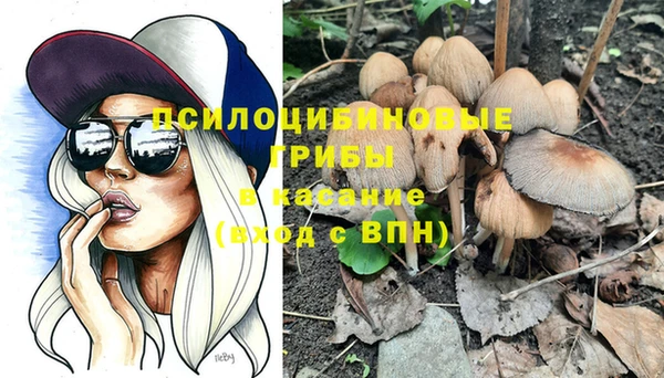 СК Елизово