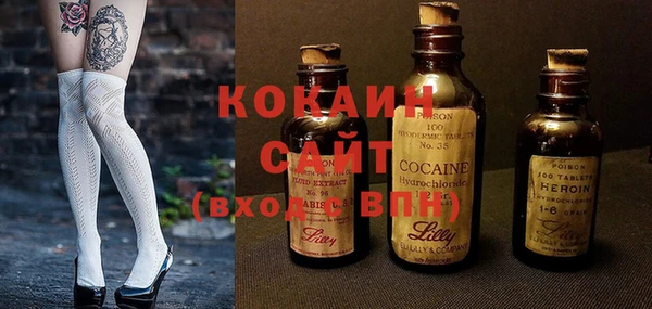 СК Елизово