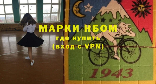 СК Елизово