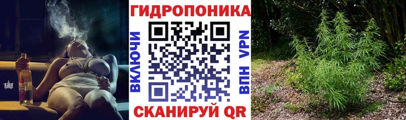 даркнет сайт  Дудинка  Каннабис конопля 